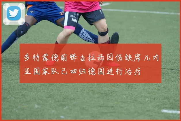 多特蒙德前锋吉拉西因伤缺席几内亚国家队已回归德国进行治疗
