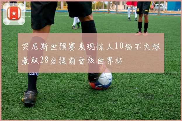 突尼斯世预赛表现惊人10场不失球豪取28分提前晋级世界杯