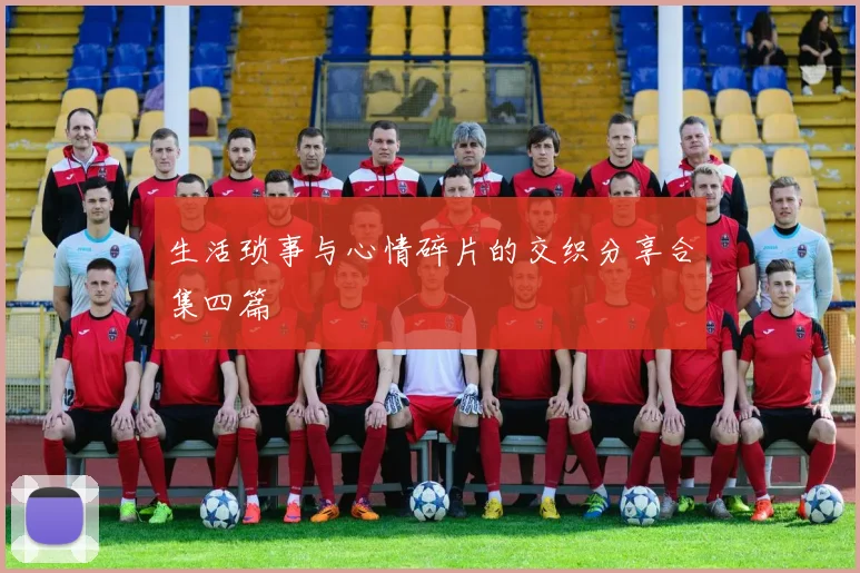 生活琐事与心情碎片的交织分享合集四篇